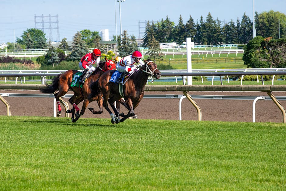 Horse races on grass track for the Kentucky Derby